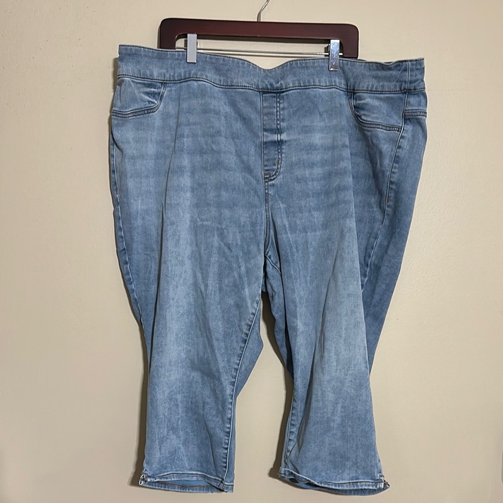 Lane Bryant Women's Blue Jeggings Pedal